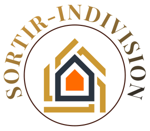 Logo Sortir Indivision